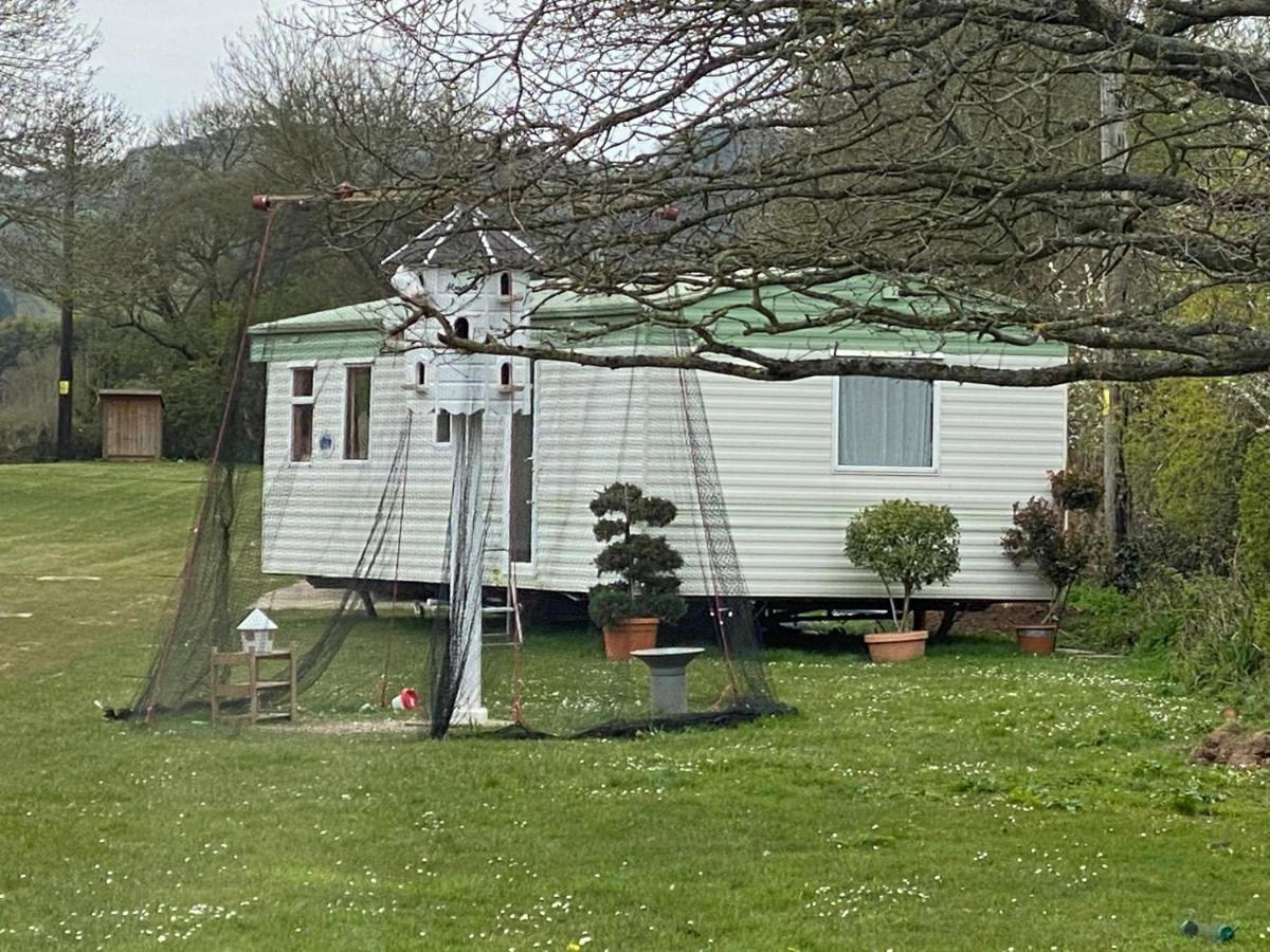 The Nest - Family Friendly Caravan Nr Glastonbury & Street Somerton  Exteriör bild